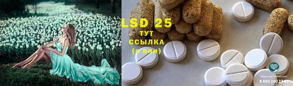 spice Балахна