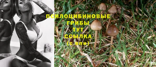 spice Балахна