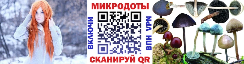 Псилоцибиновые грибы Psilocybine cubensis  MEGA рабочий сайт  площадка какой сайт  даркнет сайт  Боровск 
